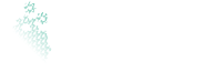 IDEaS Logo